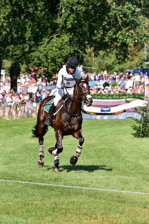 FEI  Eventing European Championships 2019 in Luhmühlen | Glynn, Ciaran - November Night_2 