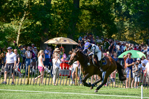 FEI  Eventing European Championships 2019 in Luhmühlen | Josefsson, Malin_5 