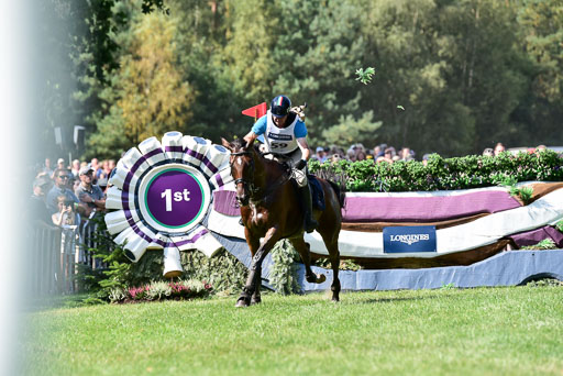 FEI  Eventing European Championships 2019 in Luhmühlen | Junco CP -  Marco BIASIA (ITA)_6 