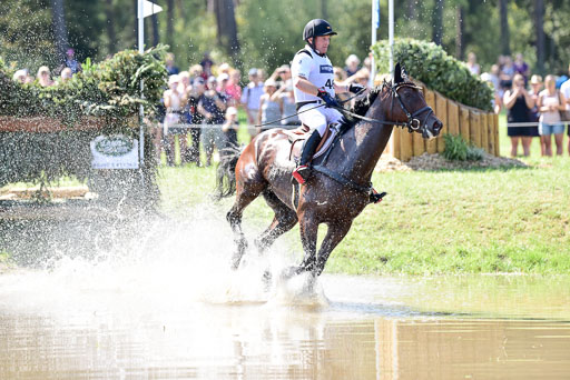 FEI  Eventing European Championships 2019 in Luhmühlen | Jung, Michael - fischer Chipmuk_11 