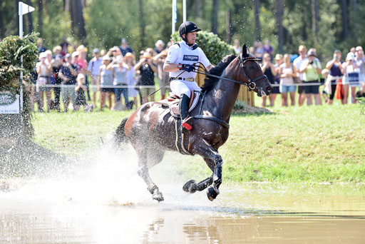 FEI  Eventing European Championships 2019 in Luhmühlen | Jung, Michael - fischer Chipmuk_12 