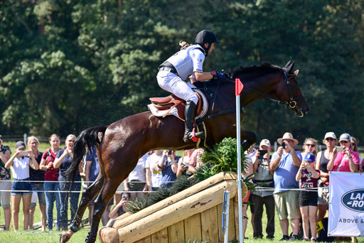 FEI  Eventing European Championships 2019 in Luhmühlen | Jung, Michael - fischer Chipmuk_14 