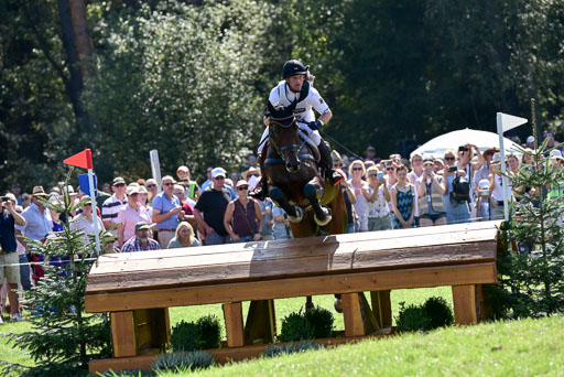 FEI  Eventing European Championships 2019 in Luhmühlen | Jung, Michael - fischer Chipmuk_17 