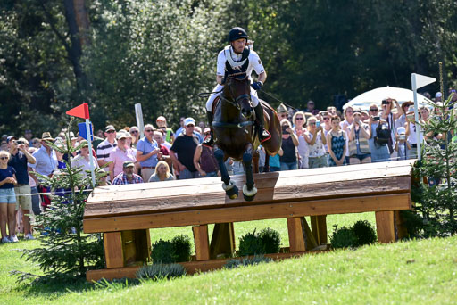 FEI  Eventing European Championships 2019 in Luhmühlen | Jung, Michael - fischer Chipmuk_18 