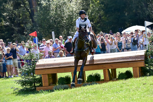 FEI  Eventing European Championships 2019 in Luhmühlen | Jung, Michael - fischer Chipmuk_19 