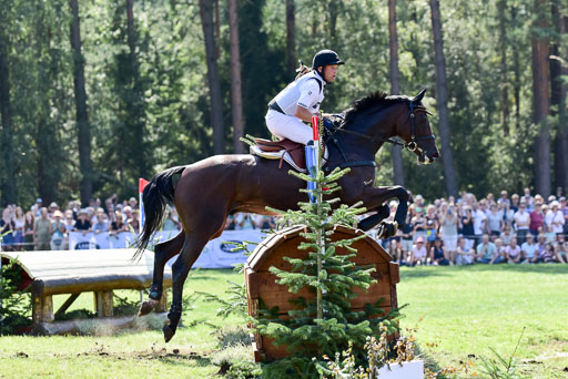 FEI  Eventing European Championships 2019 in Luhmühlen | Jung, Michael - fischer Chipmuk_23 