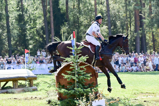 FEI  Eventing European Championships 2019 in Luhmühlen | Jung, Michael - fischer Chipmuk_24 