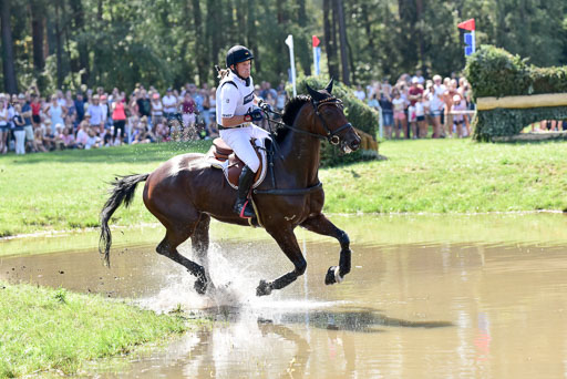 FEI  Eventing European Championships 2019 in Luhmühlen | Jung, Michael - fischer Chipmuk_27 