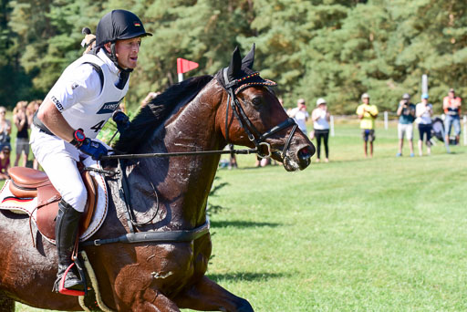 FEI  Eventing European Championships 2019 in Luhmühlen | Jung, Michael - fischer Chipmuk_39 