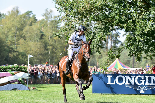 FEI  Eventing European Championships 2019 in Luhmühlen | Klimke, Ingrid - Bobby_17 