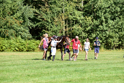 FEI  Eventing European Championships 2019 in Luhmühlen | Klimke, Ingrid - Bobby_48 