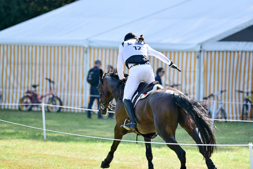 FEI  Eventing European Championships 2019 in Luhmühlen | Kurbel, Jörg - Josereas Entertain you 2_20 