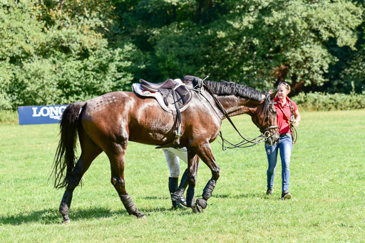 FEI  Eventing European Championships 2019 in Luhmühlen | Kurbel, Jörg - Josereas Entertain you 2_22 