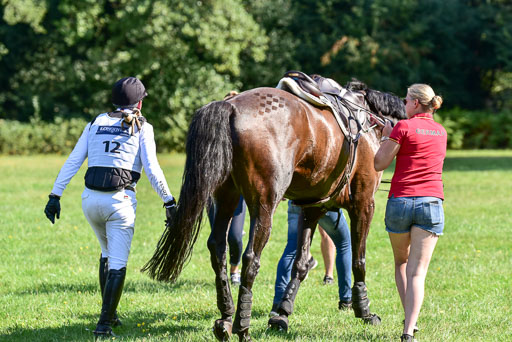 FEI  Eventing European Championships 2019 in Luhmühlen | Kurbel, Jörg - Josereas Entertain you 2_24 