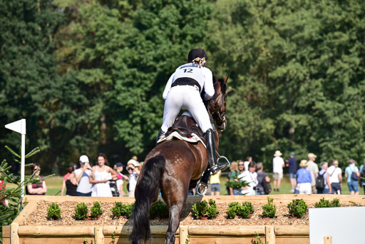 FEI  Eventing European Championships 2019 in Luhmühlen | Kurbel, Jörg - Josereas Entertain you_14 
