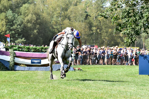 FEI  Eventing European Championships 2019 in Luhmühlen | Lips, Tim - Bayro_16 