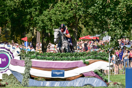 FEI  Eventing European Championships 2019 in Luhmühlen | Roman, Pietro - Barraduff 2_2 