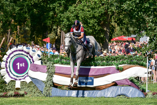 FEI  Eventing European Championships 2019 in Luhmühlen | Roman, Pietro - Barraduff 2_3 