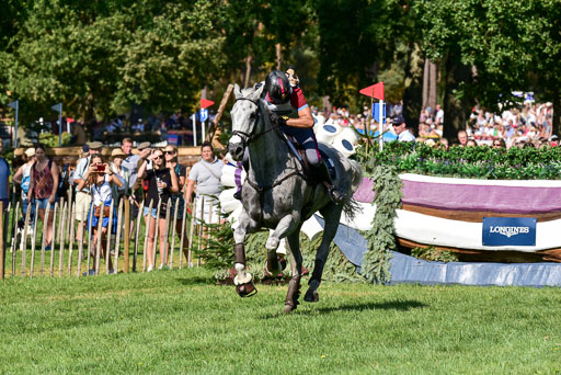 FEI  Eventing European Championships 2019 in Luhmühlen | Roman, Pietro - Barraduff 2_7 