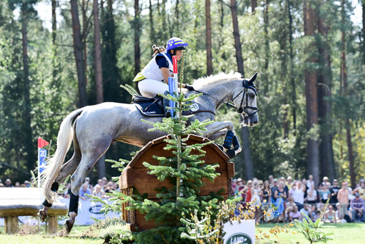 FEI  Eventing European Championships 2019 in Luhmühlen | Romeike, Louise - Waikiki_23 