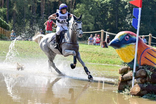 FEI  Eventing European Championships 2019 in Luhmühlen | Romeike, Louise - Waikiki_33 
