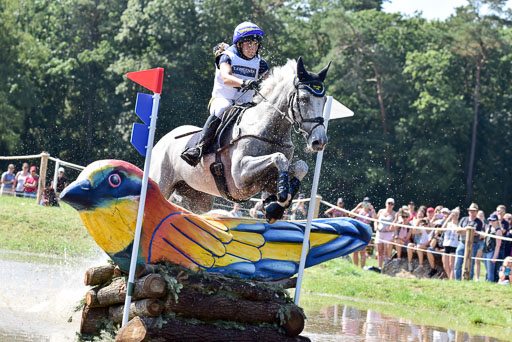 FEI  Eventing European Championships 2019 in Luhmühlen | Romeike, Louise - Waikiki_35 