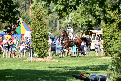 FEI  Eventing European Championships 2019 in Luhmühlen | Rüder, Kai - Colani Sunrise 2_02 