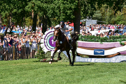 FEI  Eventing European Championships 2019 in Luhmühlen | Rüder, Kai - Colani Sunrise 2_06 