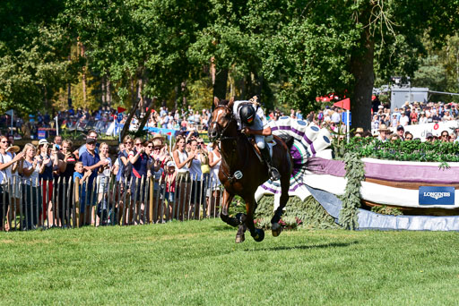 FEI  Eventing European Championships 2019 in Luhmühlen | Rüder, Kai - Colani Sunrise 2_07 