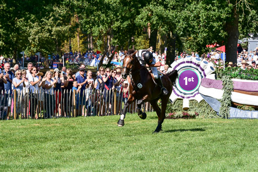 FEI  Eventing European Championships 2019 in Luhmühlen | Rüder, Kai - Colani Sunrise 2_08 