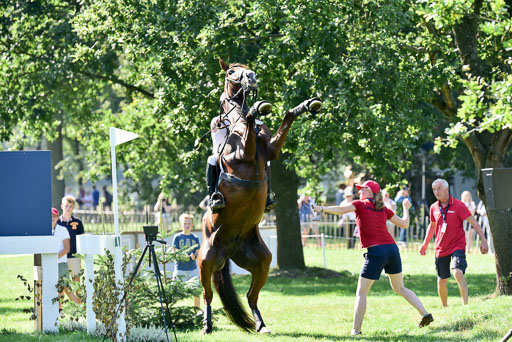 FEI  Eventing European Championships 2019 in Luhmühlen | Rüder, Kai - Colani Sunrise_03 