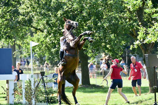 FEI  Eventing European Championships 2019 in Luhmühlen | Rüder, Kai - Colani Sunrise_04 