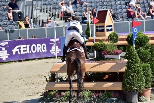 FEI  Eventing European Championships 2019 in Luhmühlen | Siemer, Anna - FRH Butts Avendale_6 