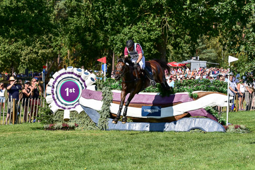 FEI  Eventing European Championships 2019 in Luhmühlen | Tuska, Peter - ben bendeguz_04 