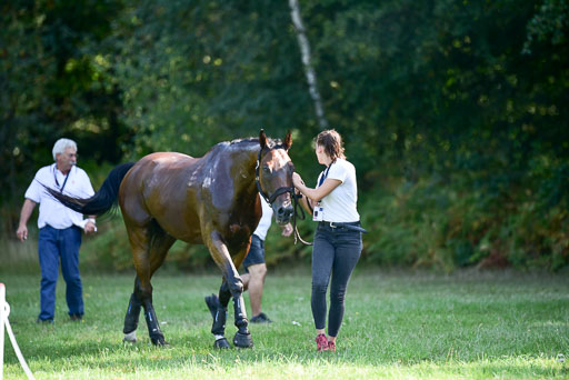 FEI  Eventing European Championships 2019 in Luhmühlen | Tuska, Peter - ben bendeguz_10 