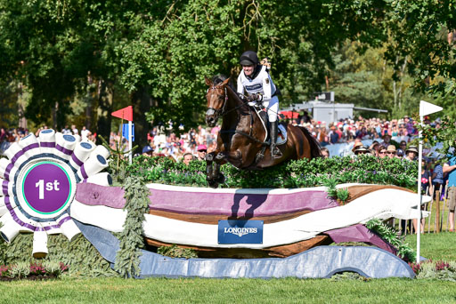 FEI  Eventing European Championships 2019 in Luhmühlen | Vogel, Anna Catharina - DSP Quintana 2_03 