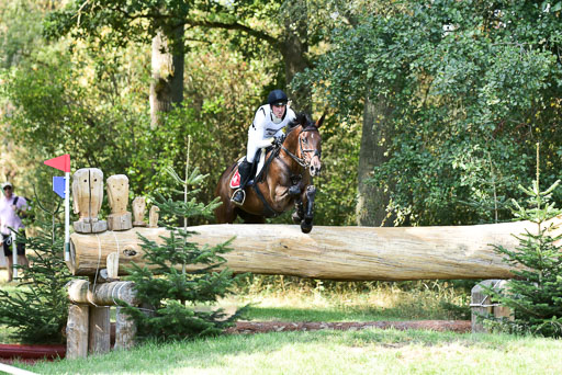 FEI  Eventing European Championships 2019 in Luhmühlen | Vogg, Felix - Archi Rocks_2 