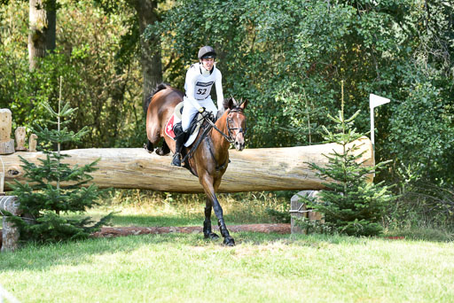 FEI  Eventing European Championships 2019 in Luhmühlen | Vogg, Felix - Archi Rocks_3 