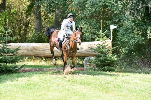 FEI  Eventing European Championships 2019 in Luhmühlen | Vogg, Felix - Archi Rocks_4 