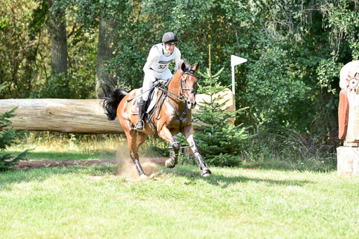 FEI  Eventing European Championships 2019 in Luhmühlen | Vogg, Felix - Archi Rocks_5 