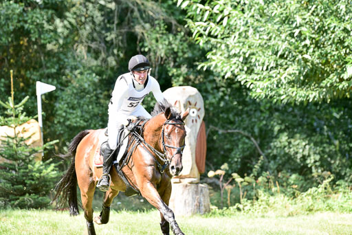 FEI  Eventing European Championships 2019 in Luhmühlen | Vogg, Felix - Archi Rocks_7 
