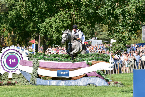 FEI  Eventing European Championships 2019 in Luhmühlen | Wahler, Christoph - Carjatan S 2_04 