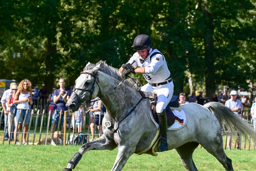 FEI  Eventing European Championships 2019 in Luhmühlen | Wahler, Christoph - Carjatan S 2_10 