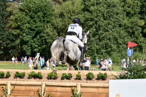 FEI  Eventing European Championships 2019 in Luhmühlen | Wahler, Christoph - Carjatan S _14 