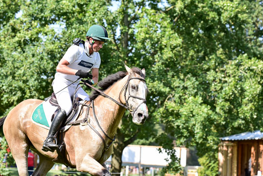 FEI  Eventing European Championships 2019 in Luhmühlen | Watson, Sam - Tullabeg Flamenco_22 
