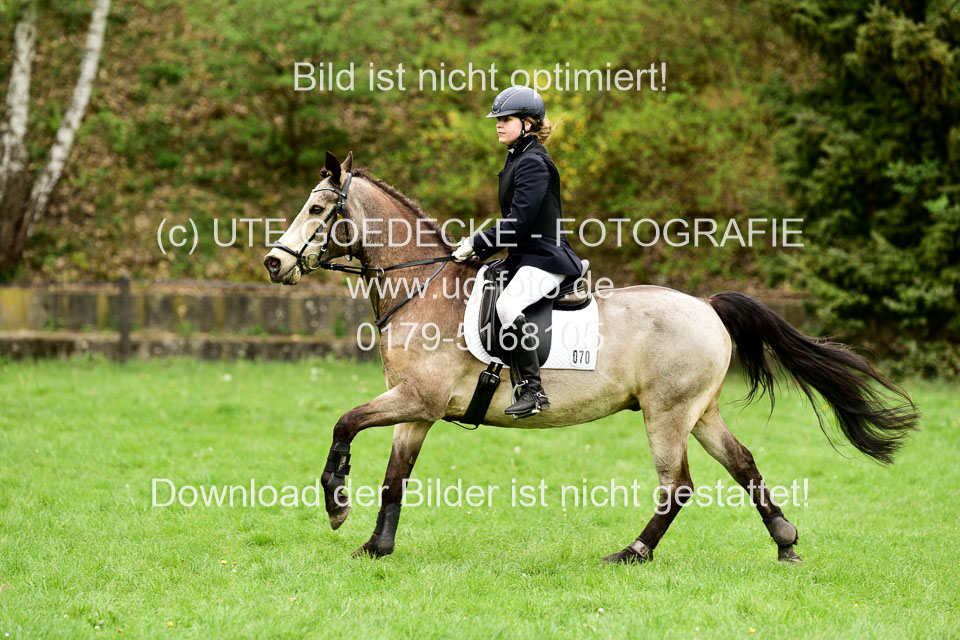 01052019-Geländereiter-WB_011.jpg