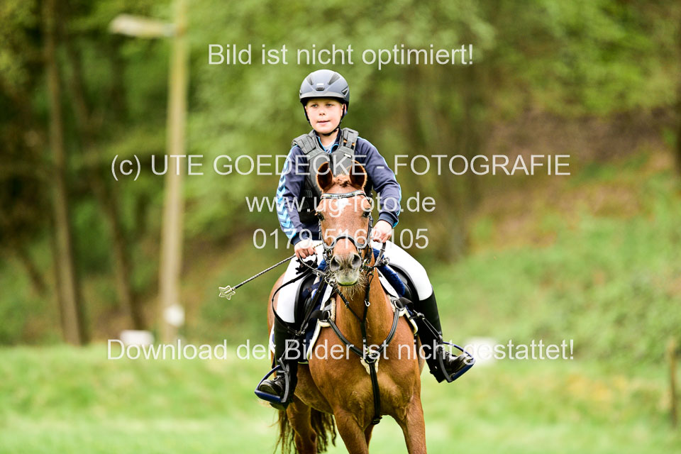 01052019-Geländereiter-WB_047.jpg