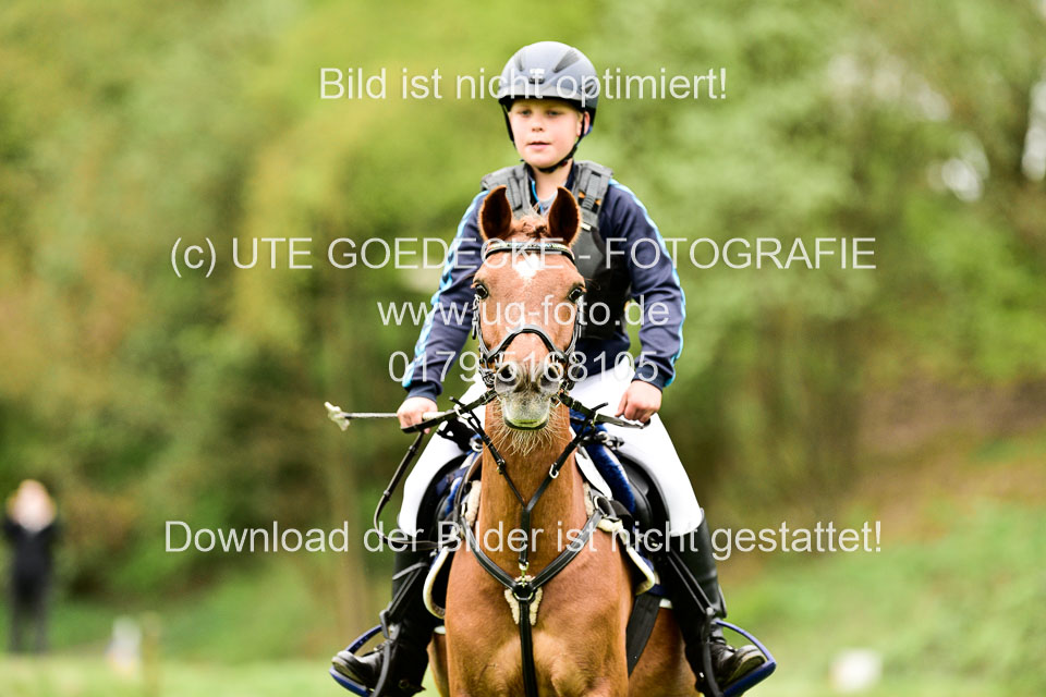 01052019-Geländereiter-WB_048.jpg