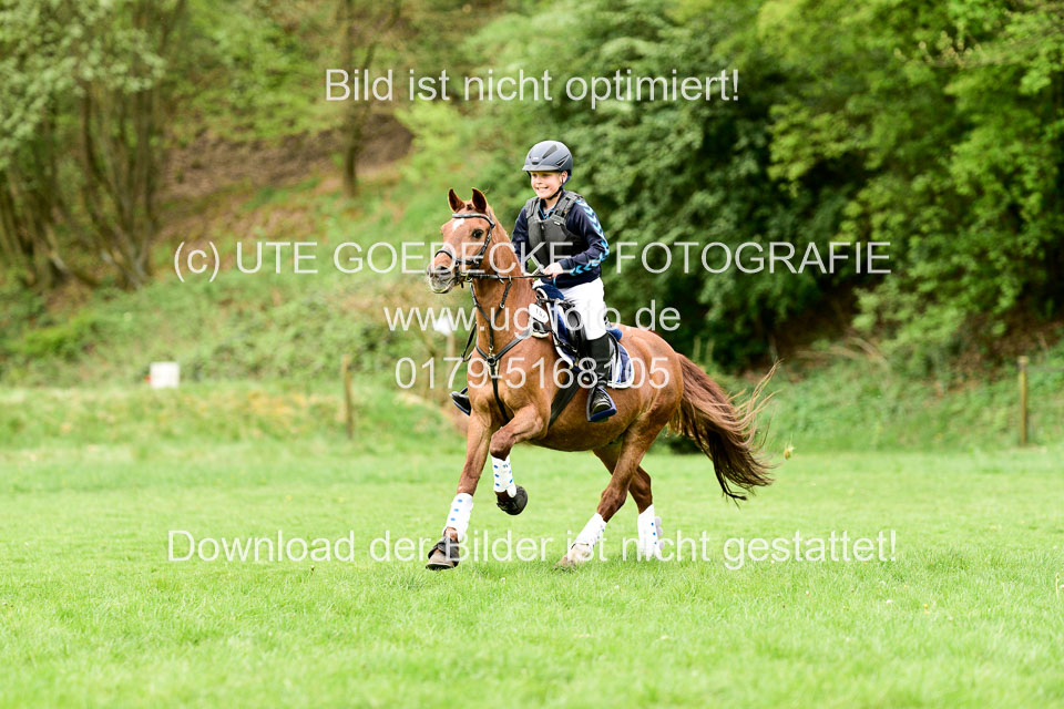 01052019-Geländereiter-WB_053.jpg