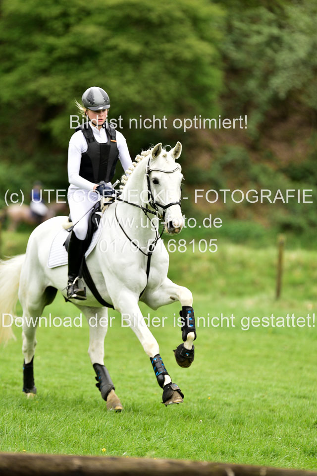 Stilgeländeritt-Kl-E-1-Abt-_136.jpg